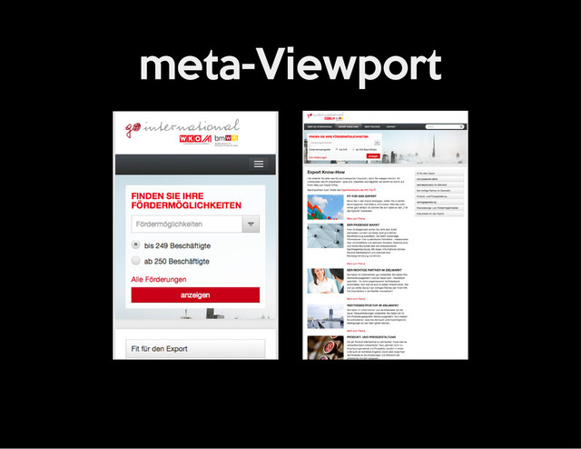 meta-Viewport
