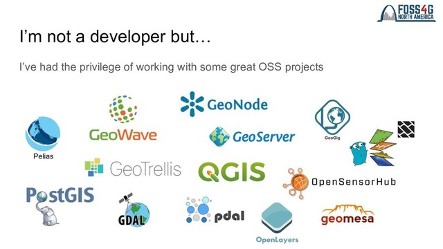I’m not a developer but…
I’ve had the privilege of working with some great OSS projects
Pelias
