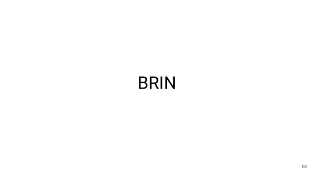 BRIN
66
