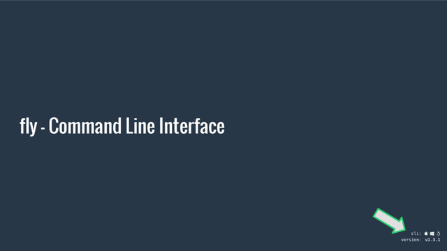 fly - Command Line Interface
