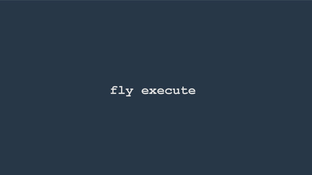 fly execute
