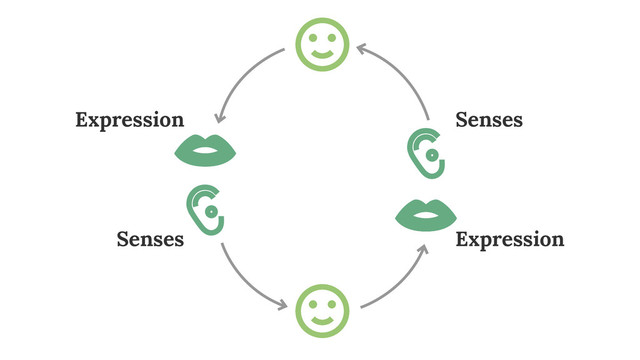 Expression Senses
Expression
Senses
