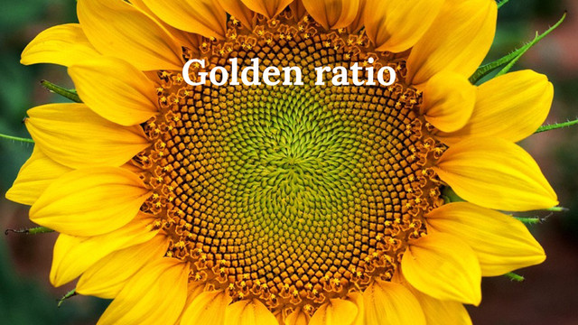 Golden ratio
