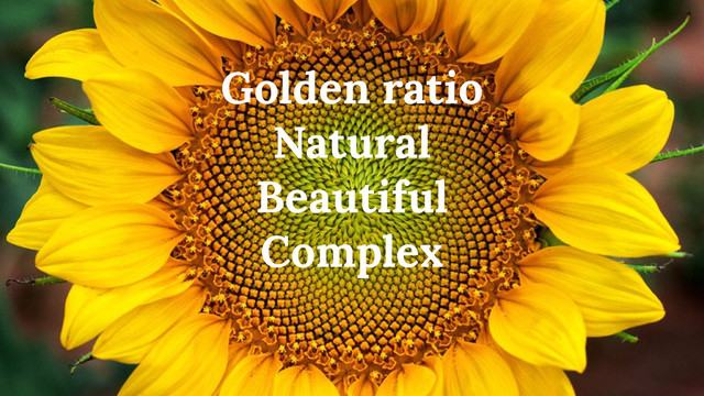 Golden ratio
Natural
Beautiful
Complex
