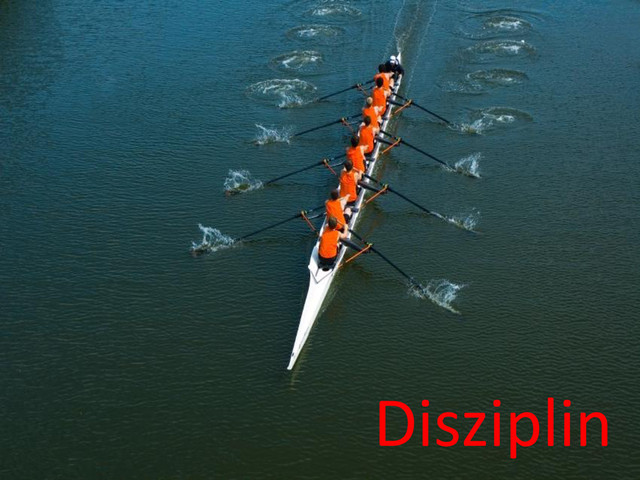 Disziplin
