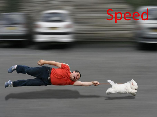 Speed
