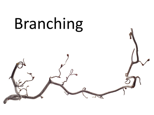 Branching
