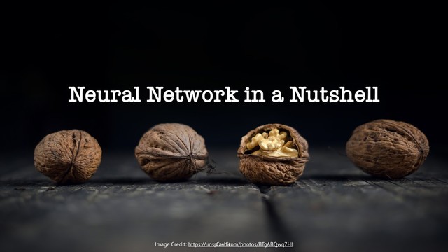 Neural Network in a Nutshell
Credit:
Image Credit: https://unsplash.com/photos/BTgABQwq7HI
