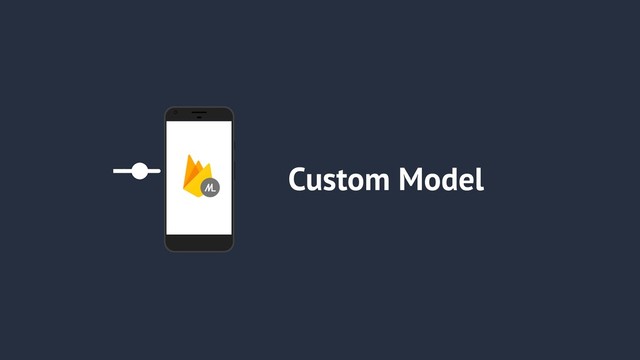Custom Model
