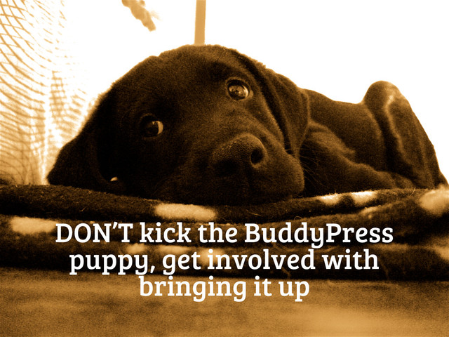 DON’T kick the BuddyPress
puppy, get involved with
bringing it up
