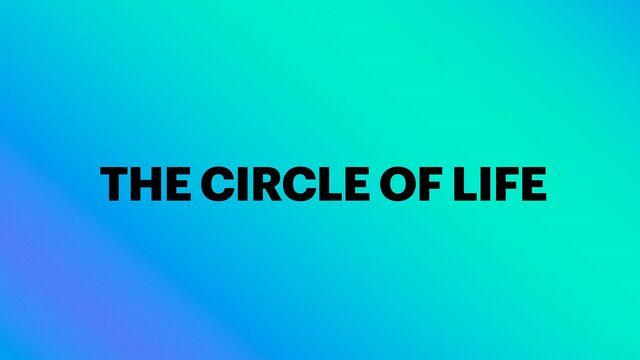 THE CIRCLE OF LIFE
