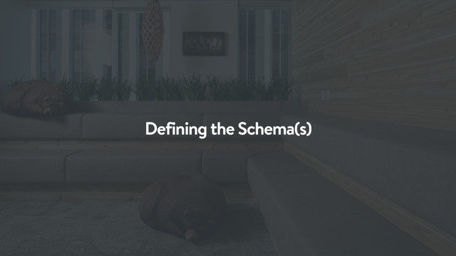 Defining the Schema(s)

