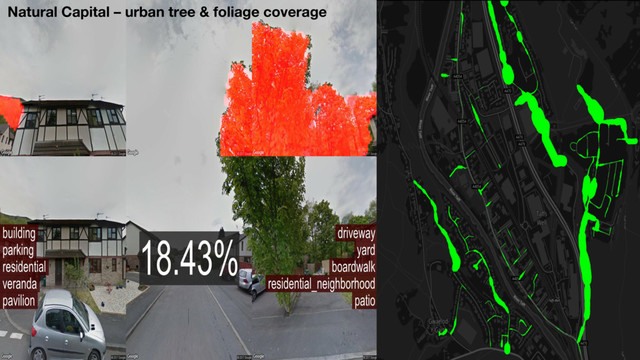 Mapping urban trees
Natural Capital – urban tree & foliage coverage
