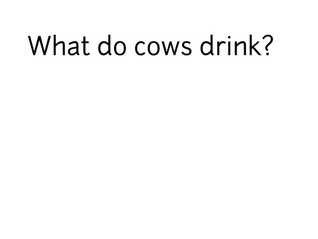 What do cows drink?
