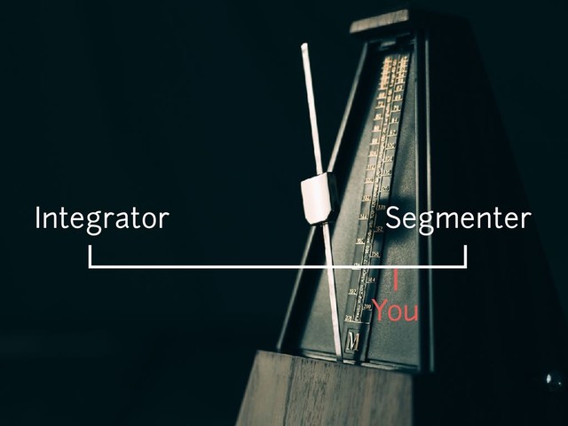 You
Integrator Segmenter
