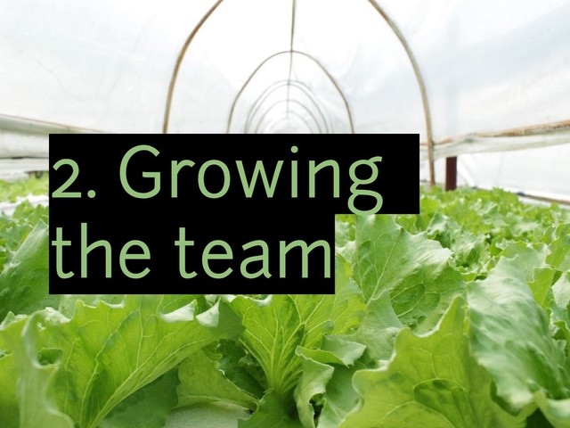 2. Growing
the team
