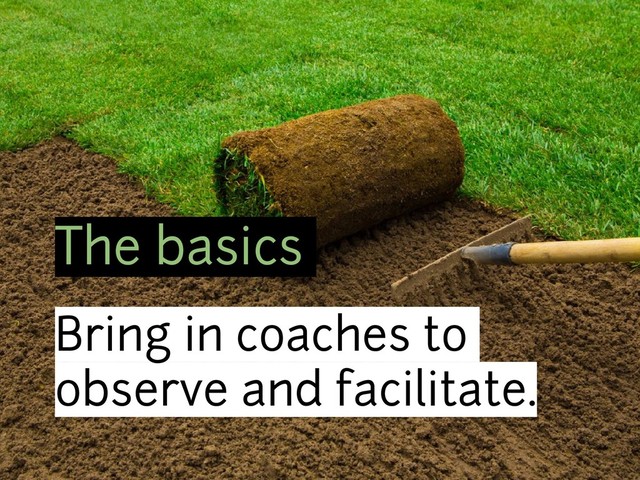 The basics
Bring in coaches to
observe and facilitate.
