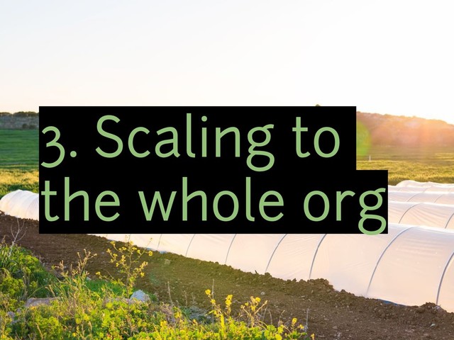 3. Scaling to
the whole org
