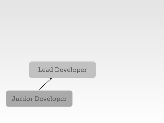 Junior Developer
Lead Developer
