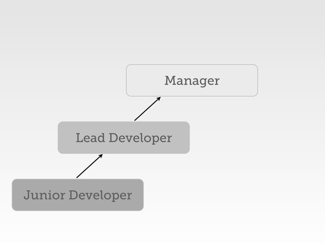 Junior Developer
Lead Developer
Manager
