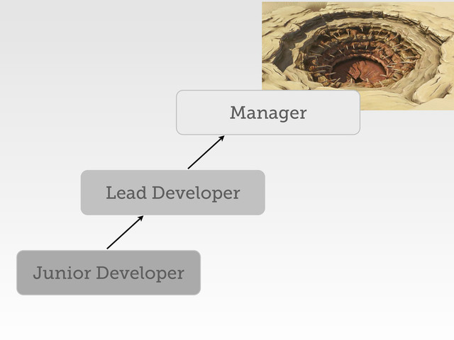 Junior Developer
Lead Developer
Manager
