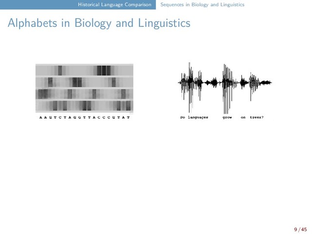 Historical Language Comparison Sequences in Biology and Linguistics
Alphabets in Biology and Linguistics
9 / 45
