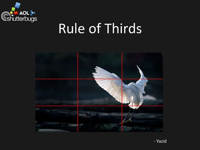 Rule of Thirds
- Yazid
