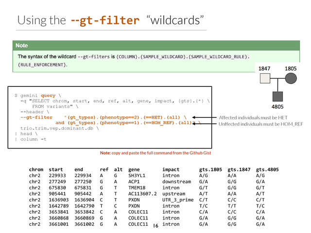Using the --gt-­‐filter	  “wildcards”
Note: copy and paste the full command from the Github Gist
$ gemini query \
-q "SELECT chrom, start, end, ref, alt, gene, impact, (gts).(*) \
FROM variants" \
--header \
--gt-filter "(gt_types).(phenotype==2).(==HET).(all) \
and (gt_types).(phenotype==1).(==HOM_REF).(all)” \
trio.trim.vep.dominant.db \
| head \
| column -t
Affected individuals must be HET
Unffected individuals must be HOM_REF
chrom	  	  start	  	  	  	  end	  	  	  	  	  	  ref	  	  alt	  	  gene	  	  	  	  	  	  	  	  impact	  	  	  	  	  	  	  gts.1805	  	  gts.1847	  	  gts.4805	  
chr2	  	  	  229933	  	  	  229934	  	  	  A	  	  	  	  G	  	  	  	  SH3YL1	  	  	  	  	  	  intron	  	  	  	  	  	  	  A/G	  	  	  	  	  	  	  A/A	  	  	  	  	  	  	  A/G	  
chr2	  	  	  277249	  	  	  277250	  	  	  G	  	  	  	  A	  	  	  	  ACP1	  	  	  	  	  	  	  	  downstream	  	  	  G/A	  	  	  	  	  	  	  G/G	  	  	  	  	  	  	  G/A	  
chr2	  	  	  675830	  	  	  675831	  	  	  G	  	  	  	  T	  	  	  	  TMEM18	  	  	  	  	  	  intron	  	  	  	  	  	  	  G/T	  	  	  	  	  	  	  G/G	  	  	  	  	  	  	  G/T	  
chr2	  	  	  905441	  	  	  905442	  	  	  A	  	  	  	  T	  	  	  	  AC113607.2	  	  upstream	  	  	  	  	  A/T	  	  	  	  	  	  	  A/A	  	  	  	  	  	  	  A/T	  
chr2	  	  	  1636903	  	  1636904	  	  C	  	  	  	  T	  	  	  	  PXDN	  	  	  	  	  	  	  	  UTR_3_prime	  	  C/T	  	  	  	  	  	  	  C/C	  	  	  	  	  	  	  C/T	  
chr2	  	  	  1642789	  	  1642790	  	  T	  	  	  	  C	  	  	  	  PXDN	  	  	  	  	  	  	  	  intron	  	  	  	  	  	  	  T/C	  	  	  	  	  	  	  T/T	  	  	  	  	  	  	  T/C	  
chr2	  	  	  3653841	  	  3653842	  	  C	  	  	  	  A	  	  	  	  COLEC11	  	  	  	  	  intron	  	  	  	  	  	  	  C/A	  	  	  	  	  	  	  C/C	  	  	  	  	  	  	  C/A	  
chr2	  	  	  3660868	  	  3660869	  	  G	  	  	  	  A	  	  	  	  COLEC11	  	  	  	  	  intron	  	  	  	  	  	  	  G/A	  	  	  	  	  	  	  G/G	  	  	  	  	  	  	  G/A	  
chr2	  	  	  3661001	  	  3661002	  	  G	  	  	  	  A	  	  	  	  COLEC11	  	  	  	  	  intron	  	  	  	  	  	  	  G/A	  	  	  	  	  	  	  G/G	  	  	  	  	  	  	  G/A
16
