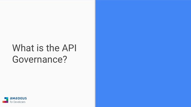 What is the API
Governance?
