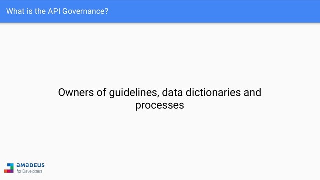 What is the API Governance?
Owners of guidelines, data dictionaries and
processes
