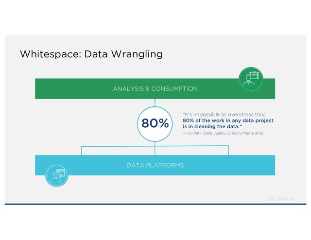 Whitespace: Data Wrangling
DATA PLATFORMS
ANALYSIS & CONSUMPTION
80% “It’s impossible to overstress this:
80% of the work in any data project
is in cleaning the data.”
— DJ Patil, Data Jujitsu, O’Reilly Media 2012
