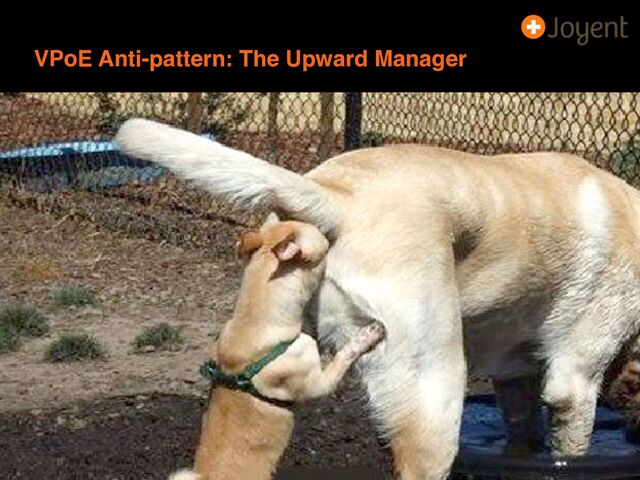 VPoE Anti-pattern: The Upward Manager
13
