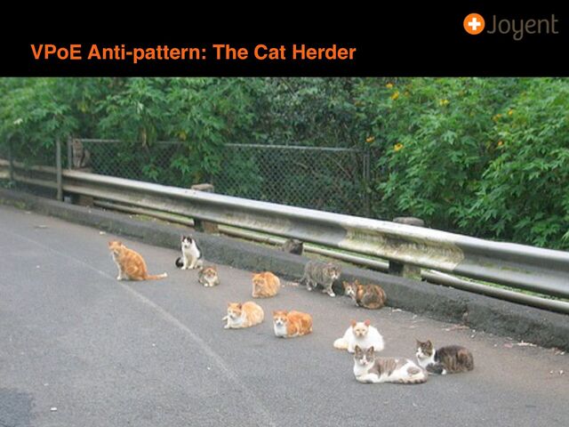 VPoE Anti-pattern: The Cat Herder
15
