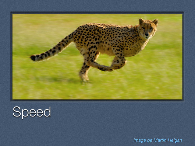Text
Speed
image be Martin Heigan
