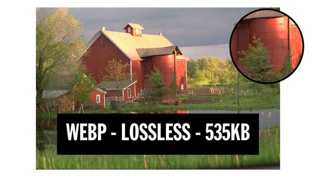 WEBP - LOSSLESS - 535KB
