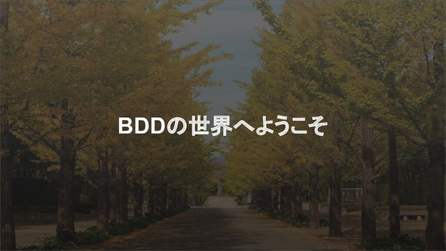 BDDの世界へようこそ
