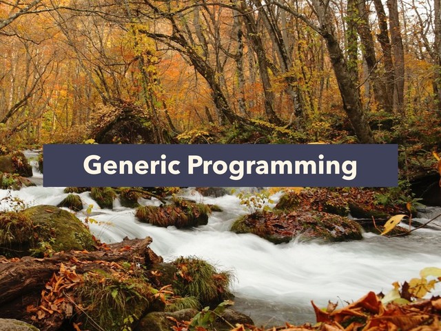 Generic Programming

