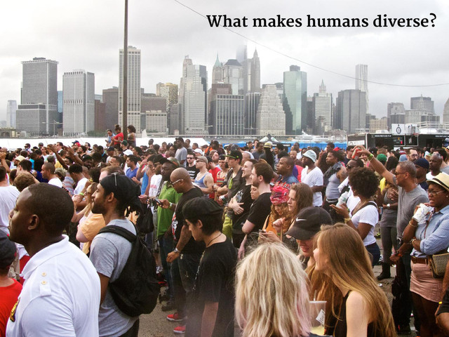 What makes humans diverse?
