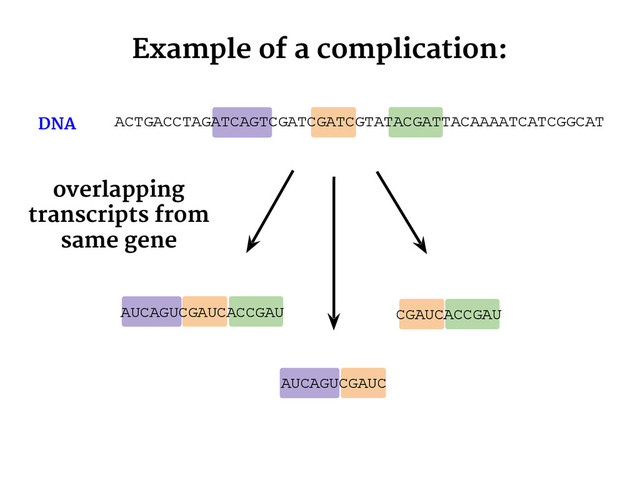 CGAUCACCGAU
AUCAGUCGAUCACCGAU
AUCAGUCGAUC
Example of a complication:
DNA
overlapping
transcripts from
same gene
ACTGACCTAGATCAGTCGATCGATCGTATACGATTACAAAATCATCGGCAT
