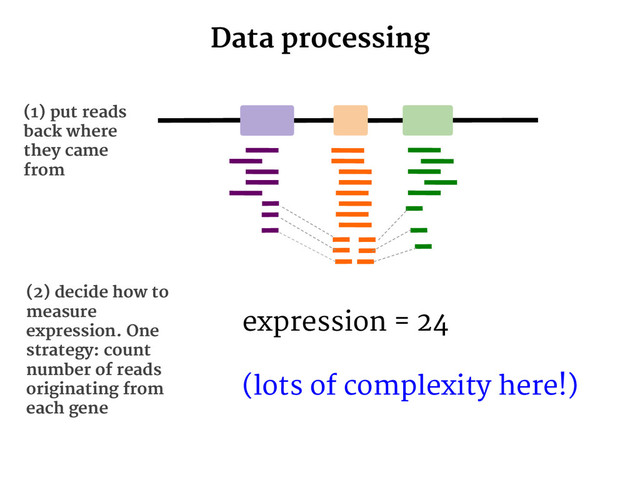 Data processing
(1) put reads
back where
they came
from
(2) decide how to
measure
expression. One
strategy: count
number of reads
originating from
each gene
expression = 24
(lots of complexity here!)
