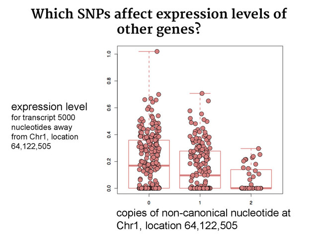 Which SNPs affect expression levels of
other genes?
expression level
for transcript 5000
nucleotides away
from Chr1, location
64,122,505
copies of non-canonical nucleotide at
Chr1, location 64,122,505
