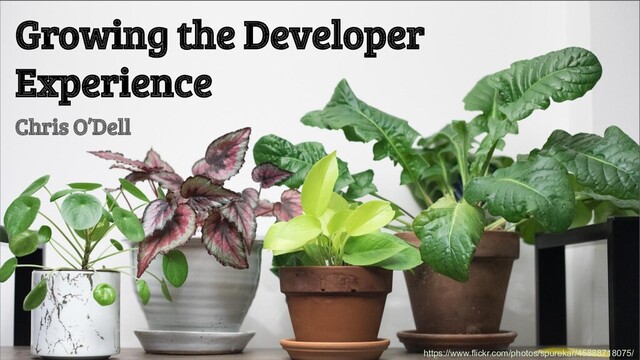 Growing the Developer
Experience
Chris O’Dell
https://www.flickr.com/photos/spurekar/45888718075/
