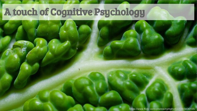 A touch of Cognitive Psychology
https://www.flickr.com/photos/nymphofox/6865406105/

