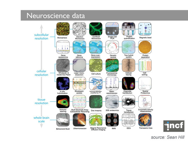 Neuroscience data
source: Sean Hill
