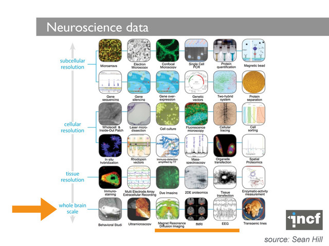 Neuroscience data
source: Sean Hill
