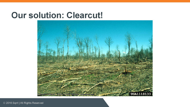© 2016 Sqrrl | All Rights Reserved
Our solution: Clearcut!
