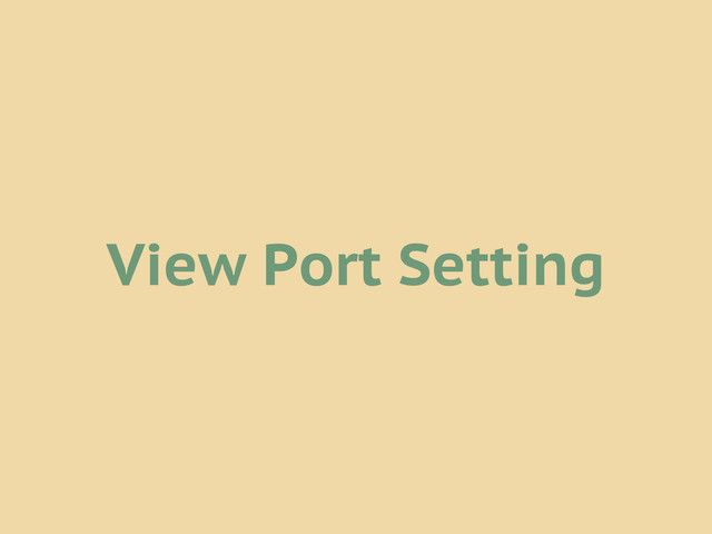 View Port Setting
