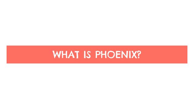 WHAT IS PHOENIX?
