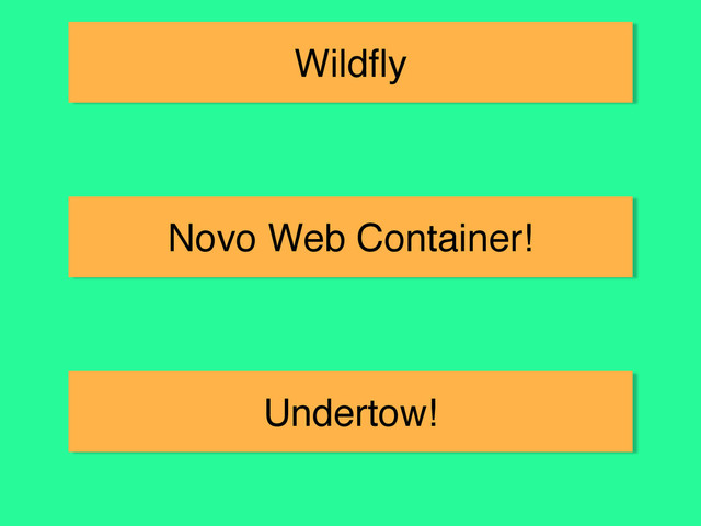 Wildﬂy
Novo Web Container!
Undertow!
