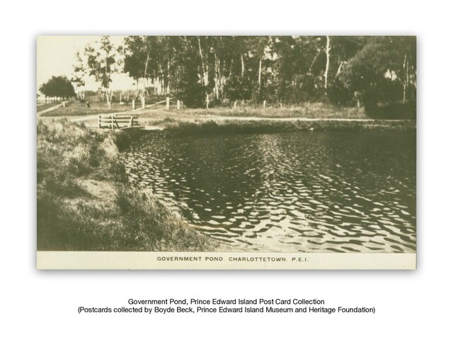 Government Pond, Prince Edward Island Post Card Collection

(Postcards collected by Boyde Beck, Prince Edward Island Museum and Heritage Foundation)
